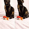 cat, tortoiseshell_cat, animal, pet, feline, portrait, split_screen, side_profile, sitting, green_eyes, whiskers, pointed_ears, black_fur, brown_fur, orange_patches, plush_toy, sushi_toy, white_bedding, indoor, cute