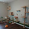 Niobi is registered to the contest to win money with this photo: cat_house, cat_mural, cat_playroom, cat_toy_basket, cat_toys, cat_toys_scattered, cat_tree, cat_tunnel, ceiling_light, clean_room, decorative_wall, empty_room, indoor, pet_environment, pet_furniture, pet_room, scratching_post, wall_outlet, wall_shelves, wooden_floor
