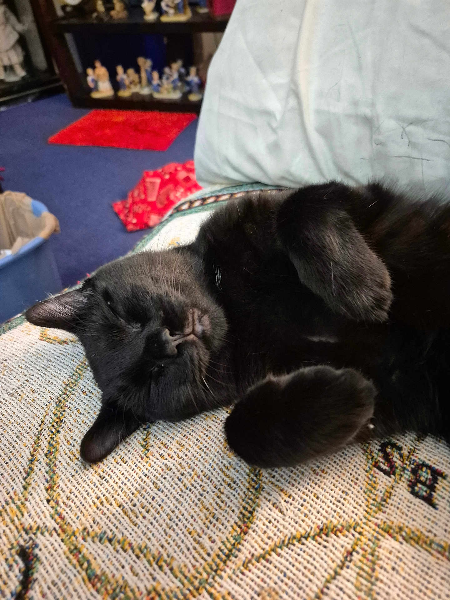 Sammy Sammy joined the competition — help win amazing prizes! animal, black_cat, blanket, carpet, cat, closeup, comfort, cozy, feline, figurines, furniture, home, indoor, paw, pet, relaxation, resting, rug, shelf, sleeping