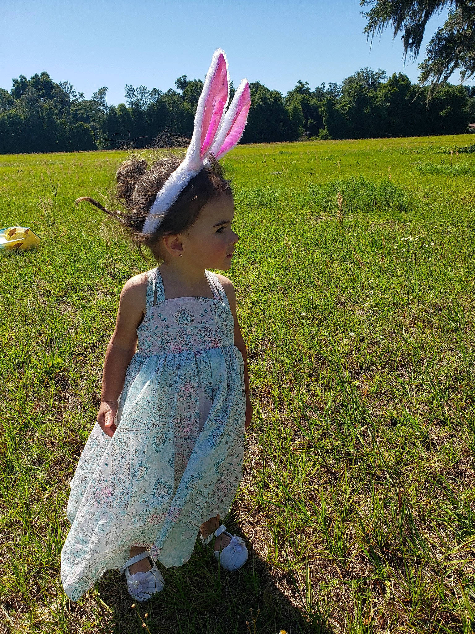 Karlie joined the competition — help win amazing prizes! adaptation, child, dress, ear, easter_bunny, grass, holiday, meadow, natural_environment, person, plant, rabbit, rabbits_and_hares, sky