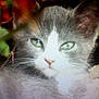 Djazzy participe au concours pour gagner de l'argent avec cette photo :