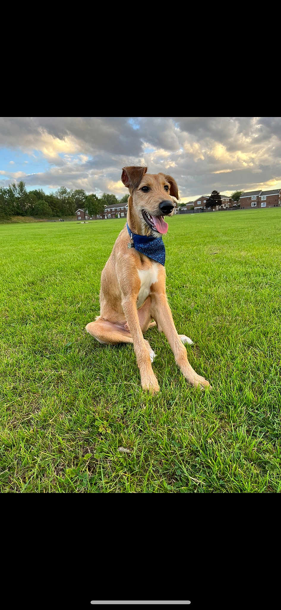 Mac