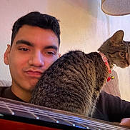 Eevee joined the competition — help win amazing prizes! man, cat, guitar, indoor, tabby_cat, collar, bell, pout_face, playing_guitar, person, furniture, lamp, wall, closeup, cozy, pet, domestic_animal, brown_hair, casual_clothing, relaxation