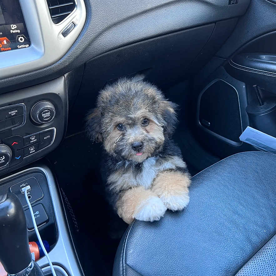 Bentley Max Huggins