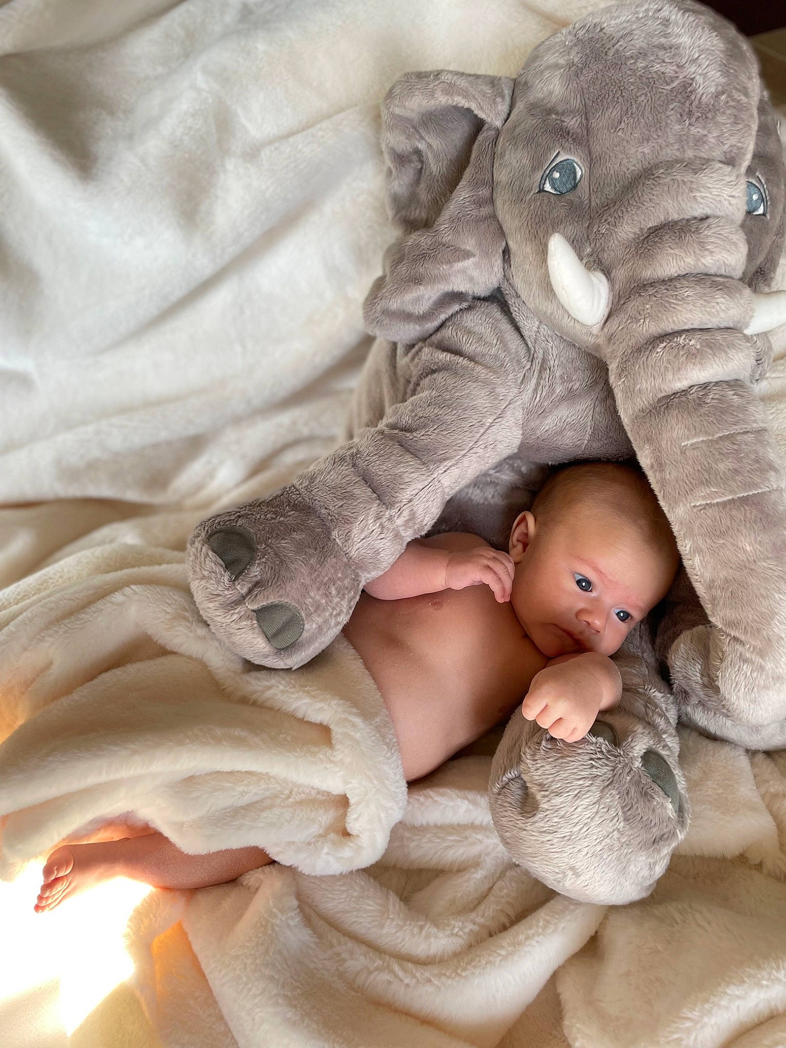 Samuel a rejoint le concours — aidez-le/la à gagner de superbes lots ! baby, baby_products, baby_sleeping, bed, chest, comfort, doll, elephant, eye, eyelash, fawn, head, linens, person, product, skin, stuffed_toy, textile, toy, white