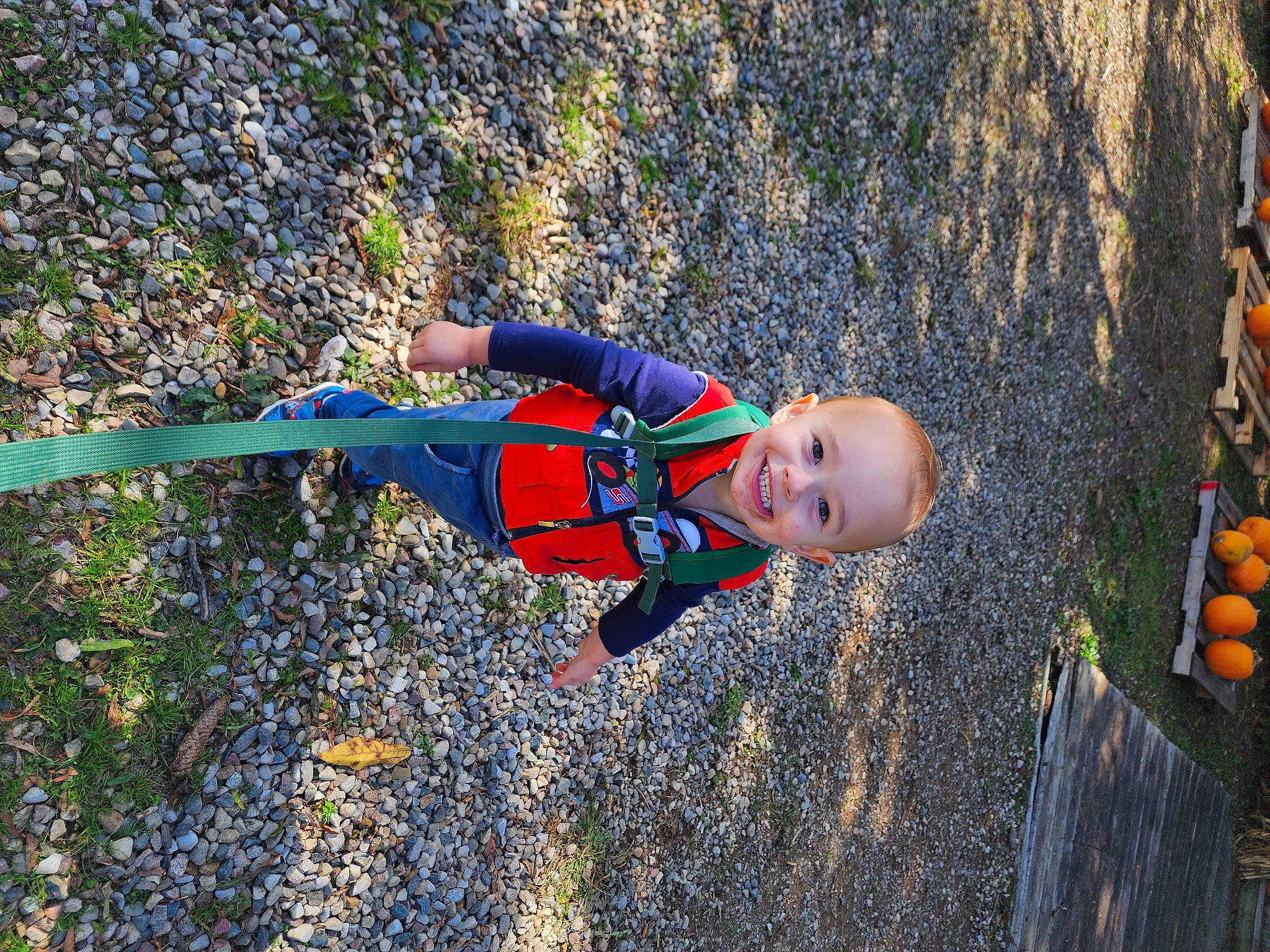 Conrad is registered to the contest to win money with this photo: adventure, calabaza, child, climbing_harness, electric_blue, fruit, fun, gourd, grass, joy, leisure, natural_foods, people_in_nature, person, plant, pumpkin, recreation, shadow, soil, toddler
