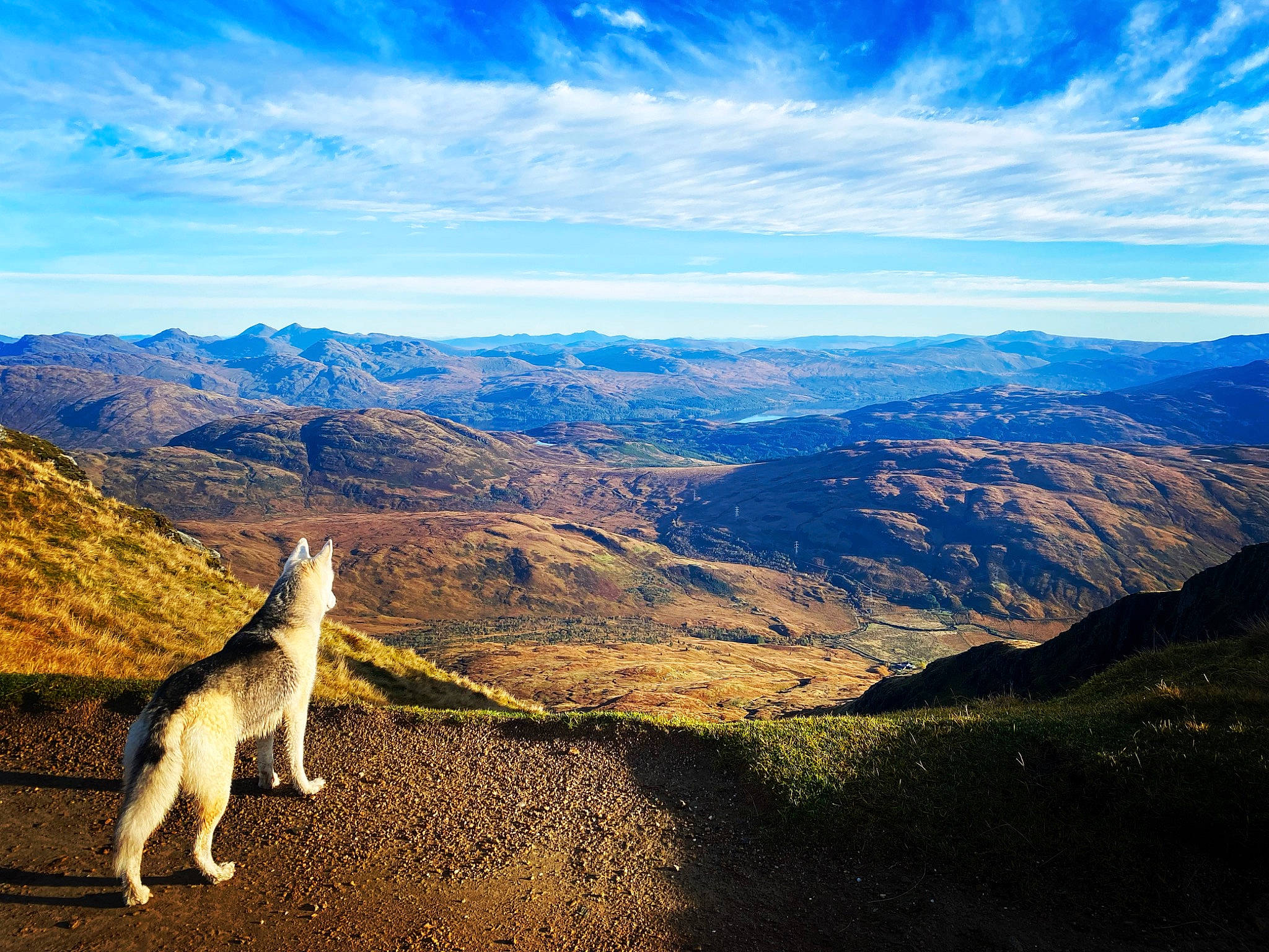 Myah is registered to the contest to win money with this photo: carnivore, cloud, companion_dog, cumulus, dog, dog_breed, fawn, grass, grassland, hill, horizon, landscape, mountain, mountain_range, natural_landscape, people_in_nature, plateau, sky, slope, sporting_group