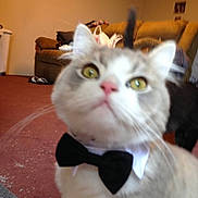 Vinnie Vin Chandler joined the competition — help win amazing prizes!