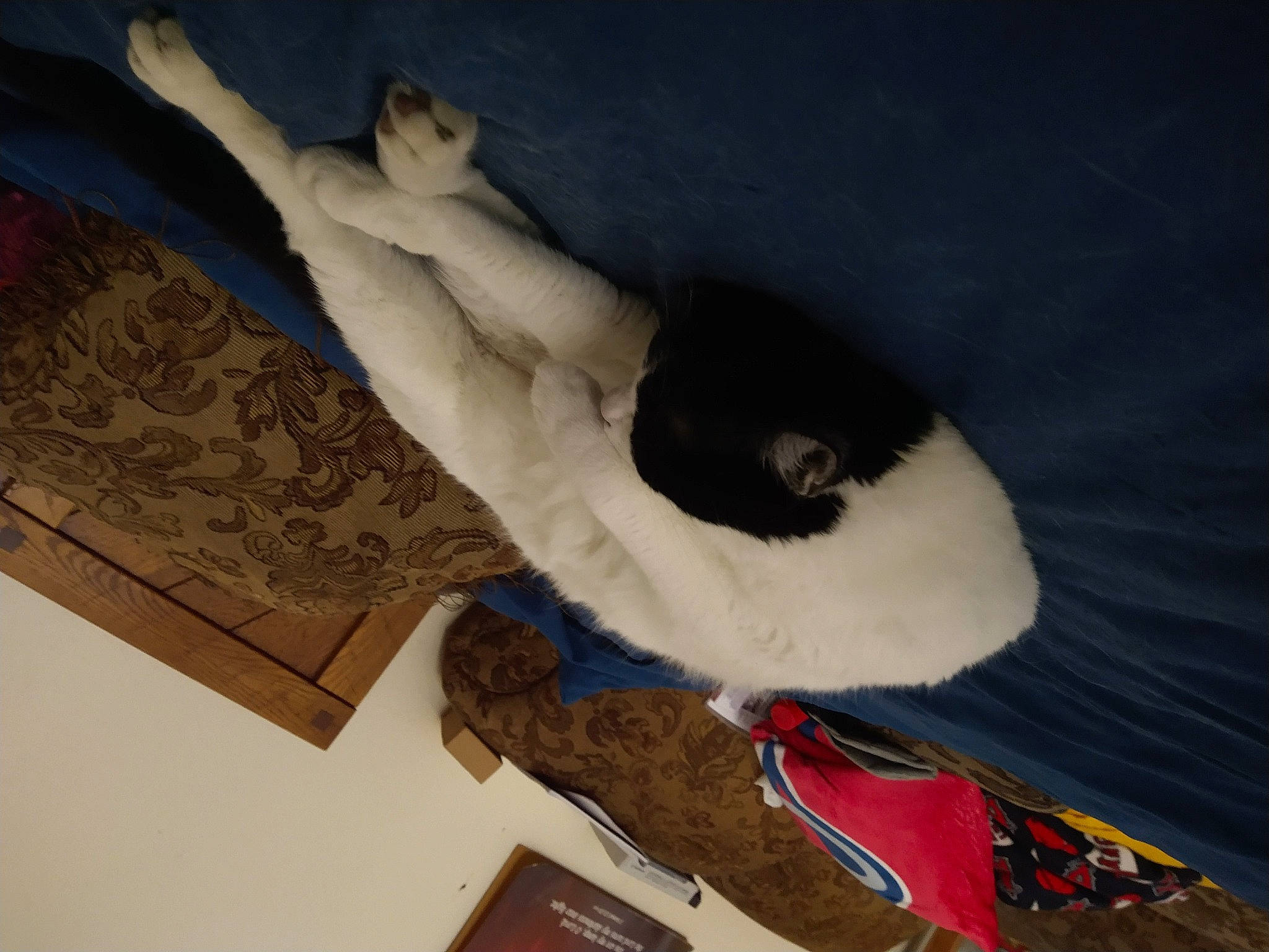 Tetsu is registered to the contest to win money with this photo: art, artifact, carmine, chest, comfort, elbow, fun, fur, gesture, human_leg, knee, leg, plaster, religious_item, sculpture, statue, trunk, visual_arts, wood, wrist