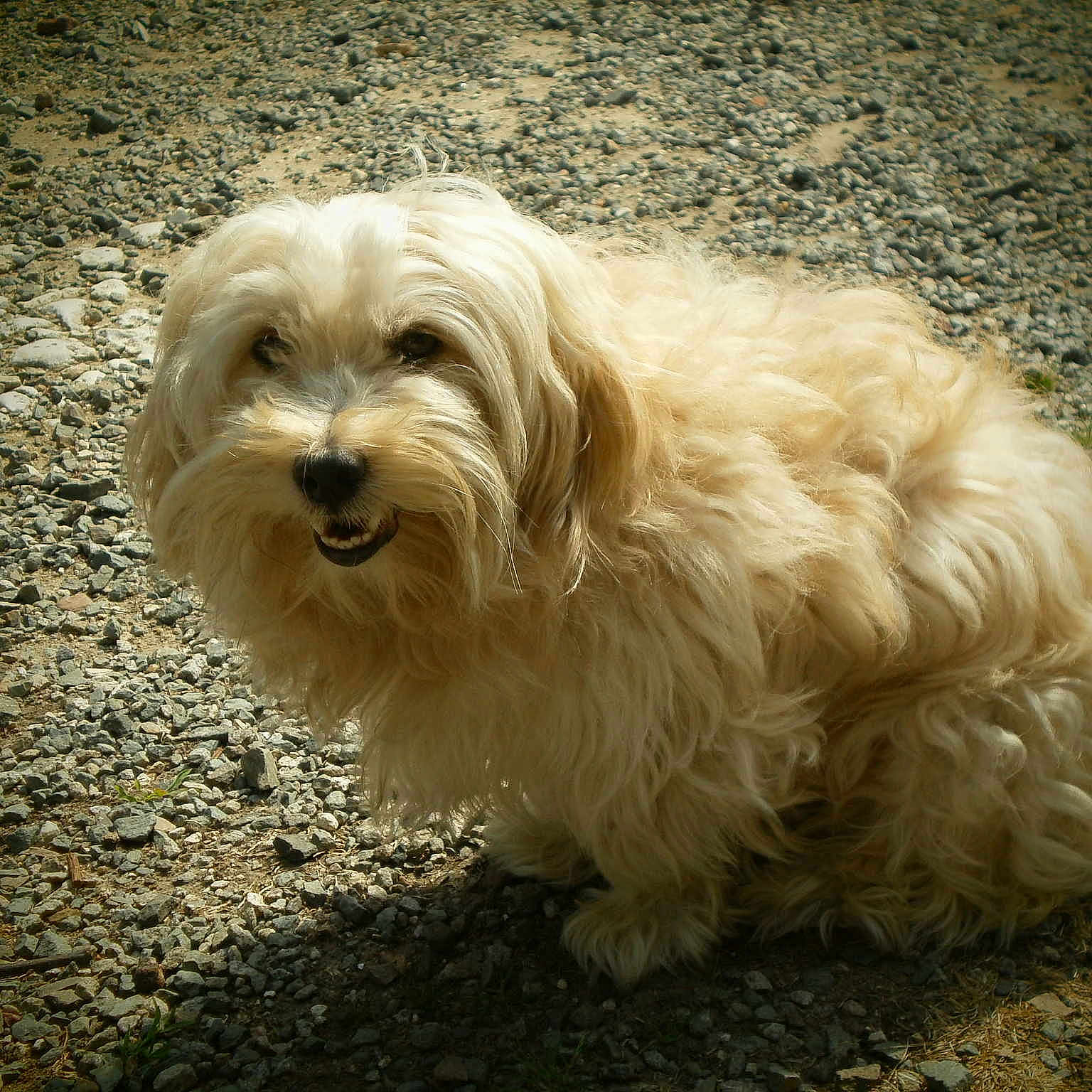 Eddy