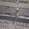 Eddy participe au concours pour gagner de l'argent avec cette photo :