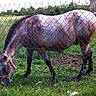 Calypso participe au concours pour gagner de l'argent avec cette photo :