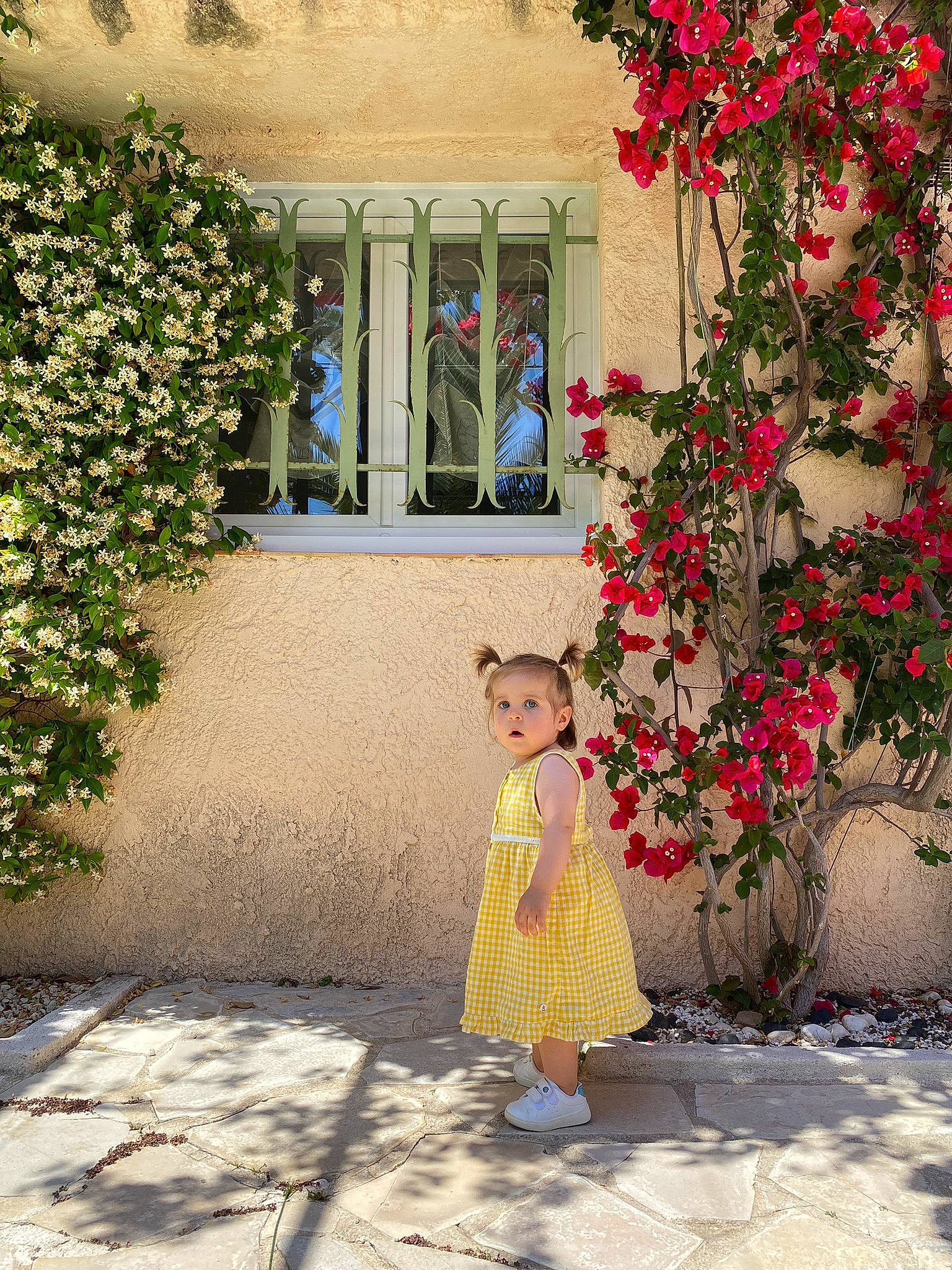 Joyce participe au concours pour gagner de l'argent avec cette photo : botany, door, dress, flooring, flower, grass, leaf, people, people_in_nature, person, petal, photograph, plant, road_surface, shrub, summer, tints_and_shades, toddler, tree, wall