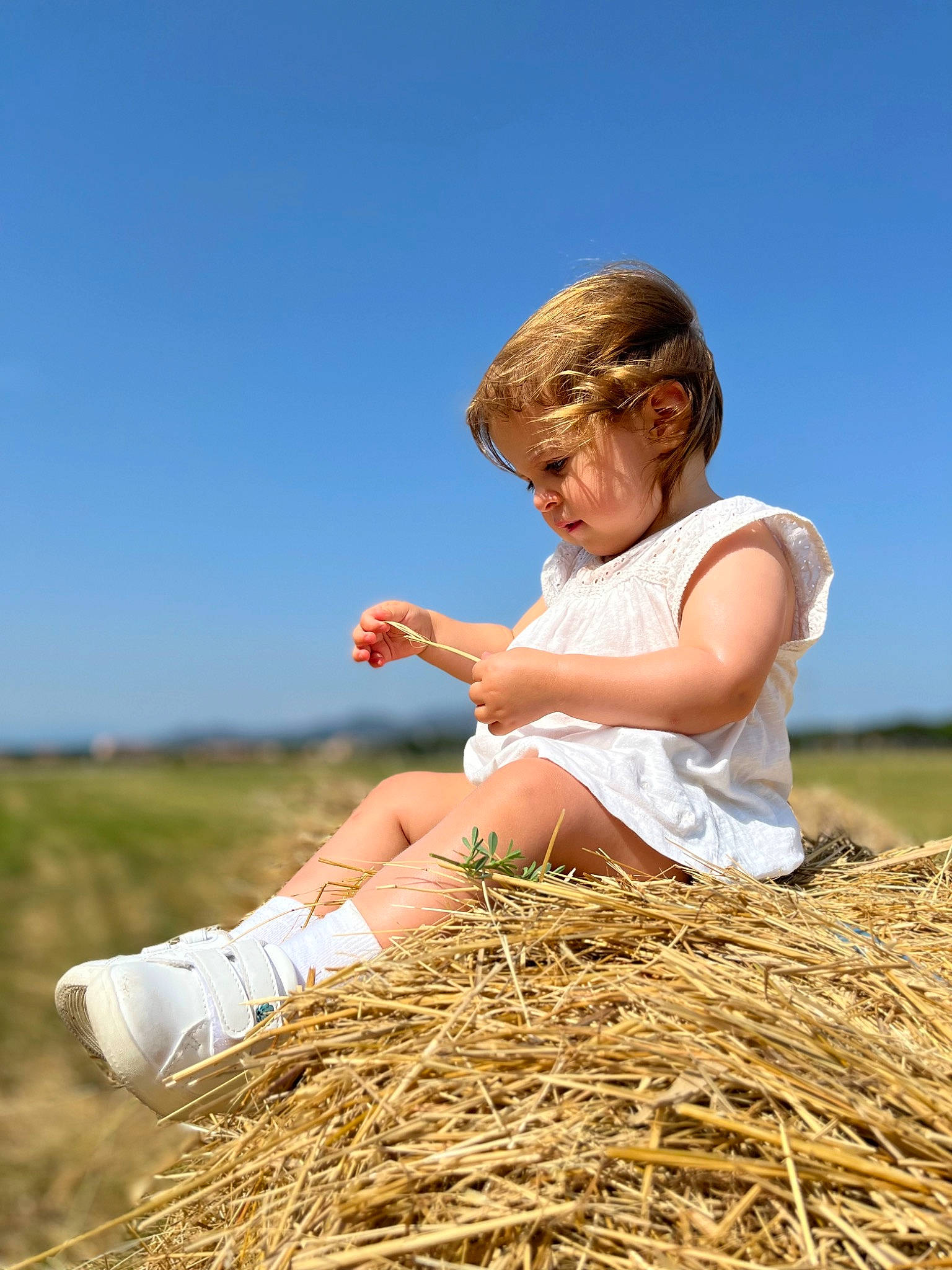 Joyce a rejoint le concours — aidez-le/la à gagner de superbes lots ! agriculture, cap, child, farmworker, field, fun, grass, grassland, happy, harvest, hat, hay, landscape, people_in_nature, person, prairie, sitting, sky, soil, straw