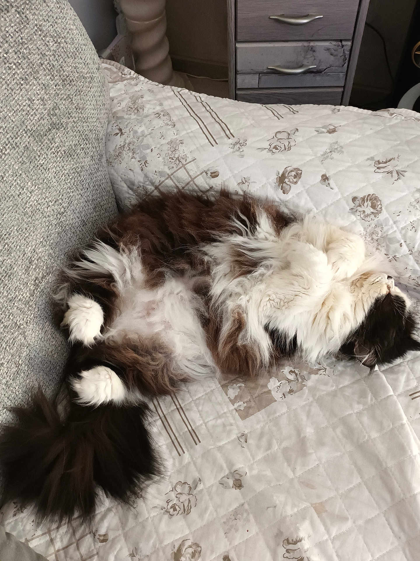 Coco