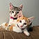 Mochi And Cheeto