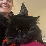 Lucky joined the competition — help win amazing prizes! black_cat, black_fur, cat, close_up, costume, cozy, feline, halloween, hat, home_interior, indoor, lap, person, pet, portrait, ribbon, smile, whiskers, witch_hat, yellow_eyes