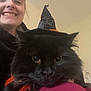 black_cat, black_fur, cat, close_up, costume, cozy, feline, halloween, hat, home_interior, indoor, lap, person, pet, portrait, ribbon, smile, whiskers, witch_hat, yellow_eyes