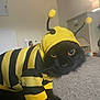 Lucky joined the competition — help win amazing prizes! antennae, bee_costume, black_cat, cardboard_box, carpet, cat, closeup, costume, cute, eyes, funny, furniture, hood, indoors, lamp, pet, portrait, striped, whiskers, yellow