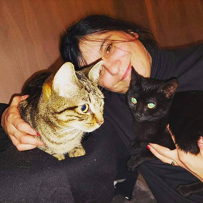 Melba participe au concours pour gagner de l'argent avec cette photo : carnivore, cat, comfort, domestic_short_haired_cat, ear, felidae, fur, gesture, iris, lap, sitting, small_to_medium_sized_cats, smile, whiskers