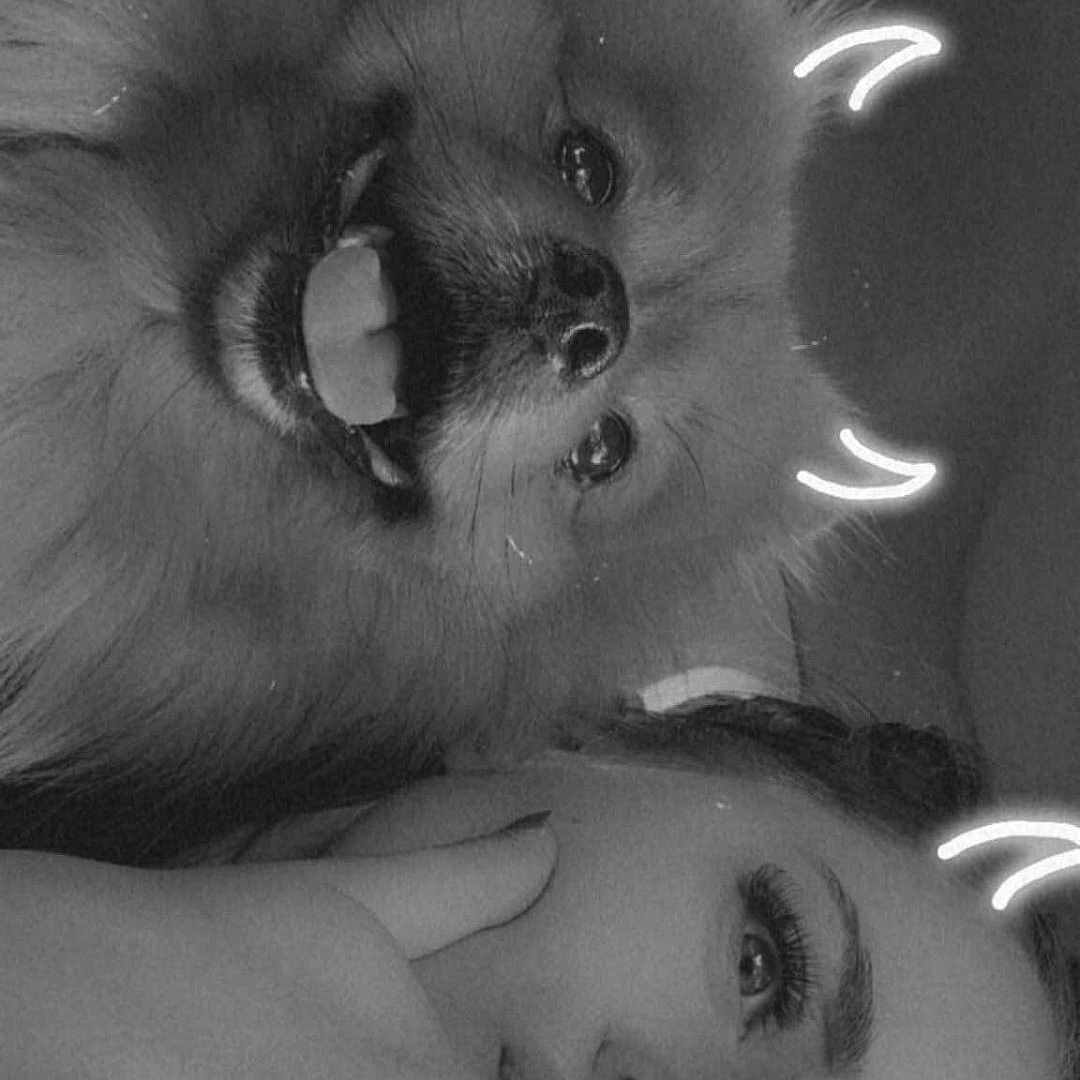 Pitchou a rejoint le concours — aidez-le/la à gagner de superbes lots ! animal, baby, bodypart, canine, dog, face, fox, happy, head, kitfox, lesserpanda, mouth, person, pet, photography, portrait, puppy, selfie, smile, teeth