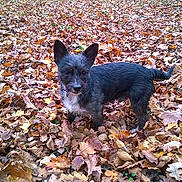 Kiwi participe au concours pour gagner de l'argent avec cette photo :