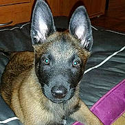 Sky participe au concours pour gagner de l'argent avec cette photo :