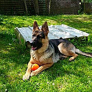 Joy participe au concours pour gagner de l'argent avec cette photo :