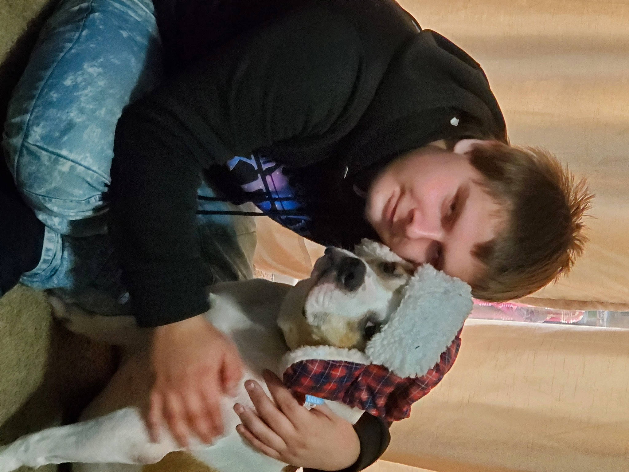 Tank joined the competition — help win amazing prizes! canidae, child, comfort, companion_dog, fawn, felidae, fun, fur, guinea_pig, happy, joint, leisure, paw, play, sitting, small_to_medium_sized_cats, sporting_group, tree, vacation, vertebrate