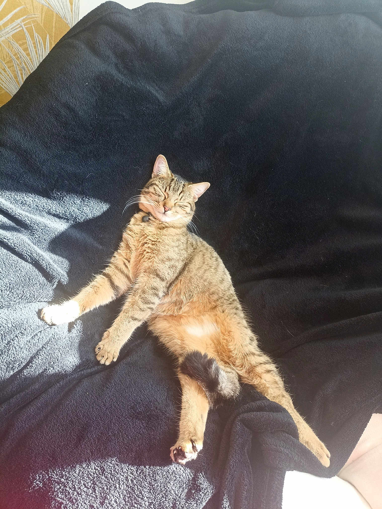 Gus