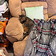 Muffin joined the competition — help win amazing prizes! cat, tabby_cat, sleeping, recliner, chair, pillow, blanket, plaid, furniture, indoor, cozy, resting, pet, animal, brown, striped, relaxing, living_room, household, soft