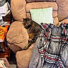 cat, tabby_cat, sleeping, recliner, chair, pillow, blanket, plaid, furniture, indoor, cozy, resting, pet, animal, brown, striped, relaxing, living_room, household, soft