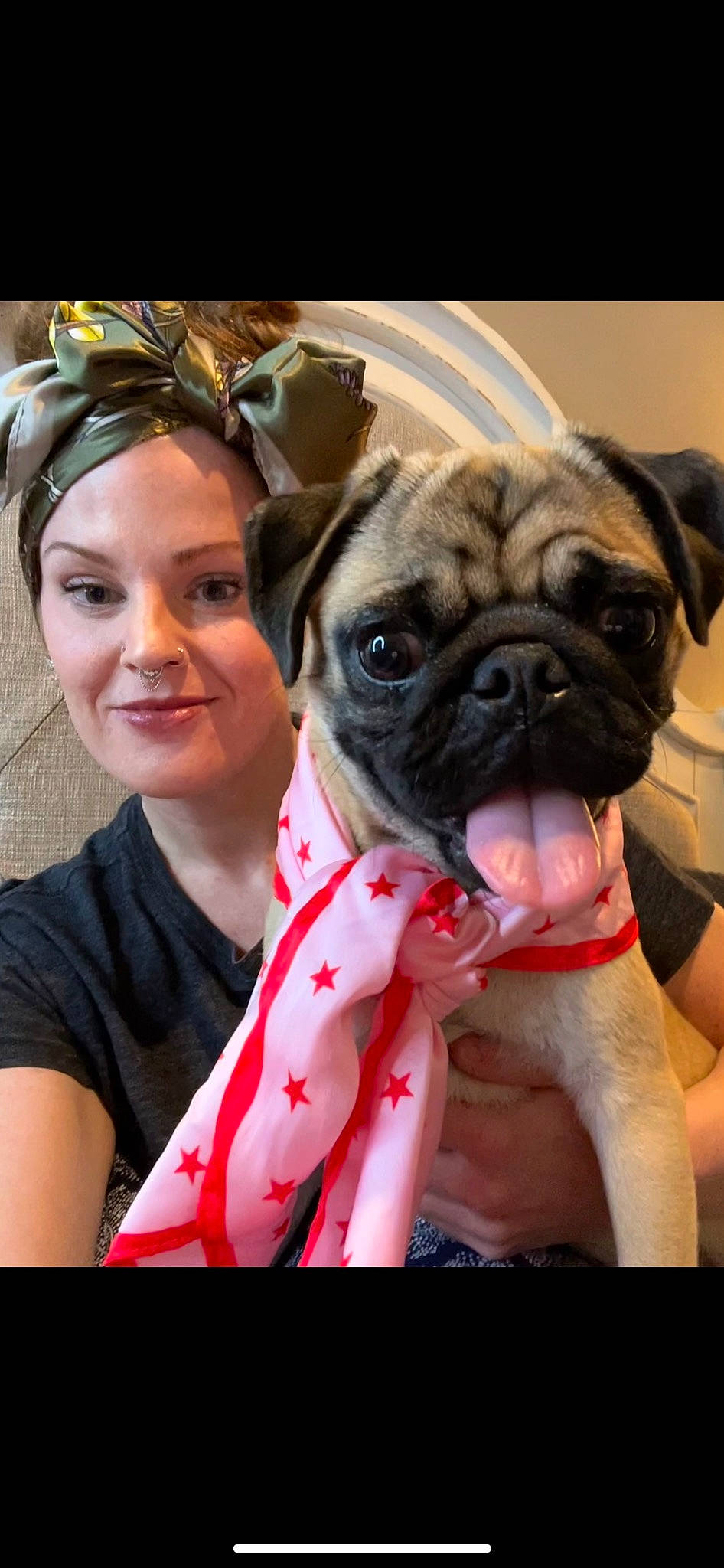 Loaf joined the competition — help win amazing prizes! beauty, canidae, carnivore, companion_dog, dog, dog_breed, event, eyewear, facial_expression, fashion_accessory, fawn, happy, jewellery, plant, pug, smile, snout, sporting_group, toy_dog, wrinkle