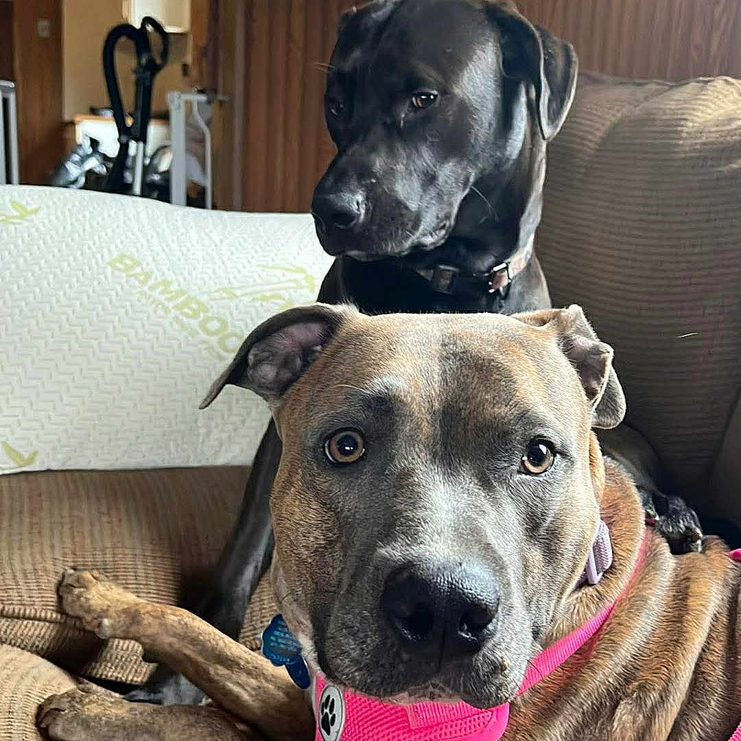 Layla And Axel