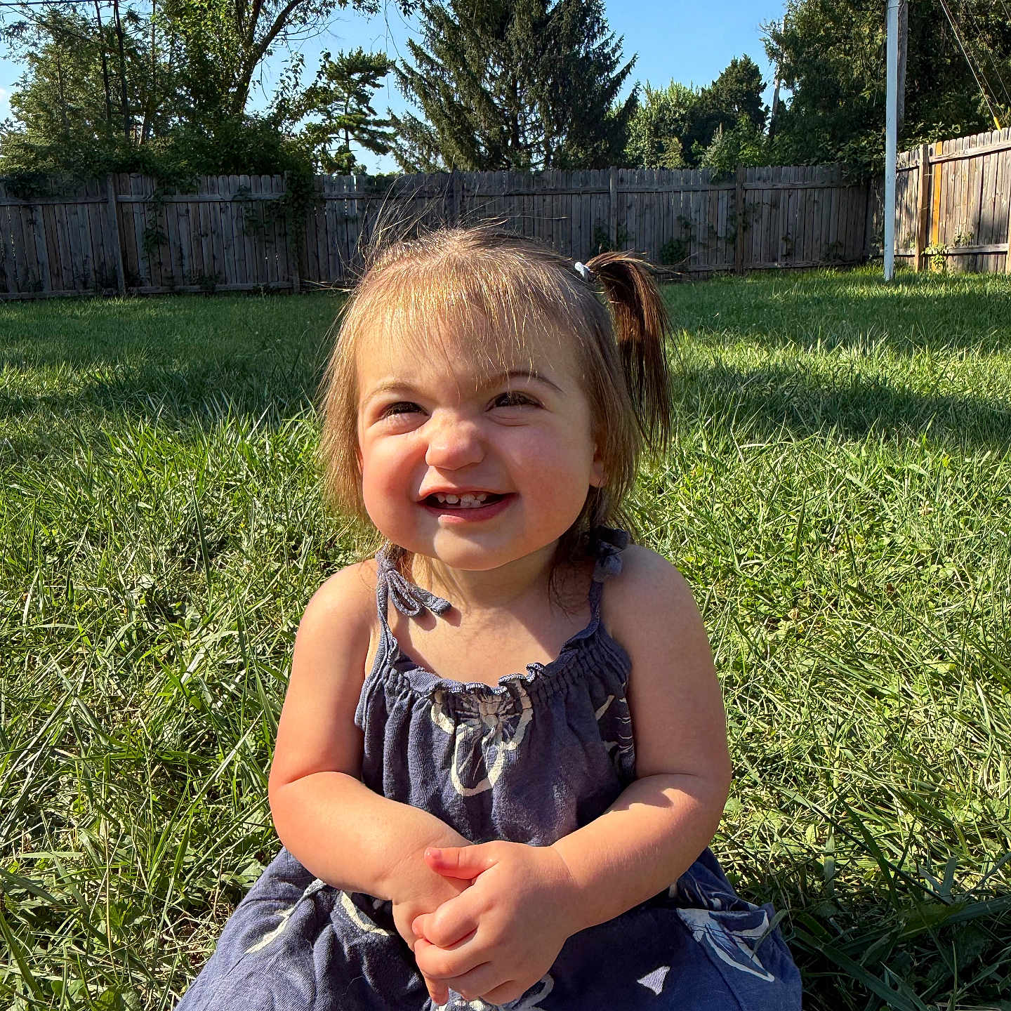 Airika is registered to the contest to win money with this photo: toddler, child, smiling, grass, outdoor, sunlight, dress, blue, flower_pattern, pony_tail, fence, trees, summer, nature, happy, sitting, daylight, yard, person, portrait