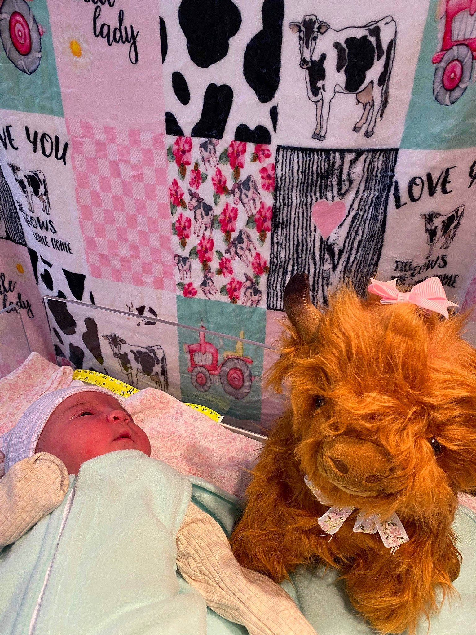 Gracelynn is registered to the contest to win money with this photo: art, baby, big_cats, carnivore, companion_dog, fawn, felidae, font, fur, hat, linens, lion, liver, mammal, orangutan, pattern, person, pink, room, textile