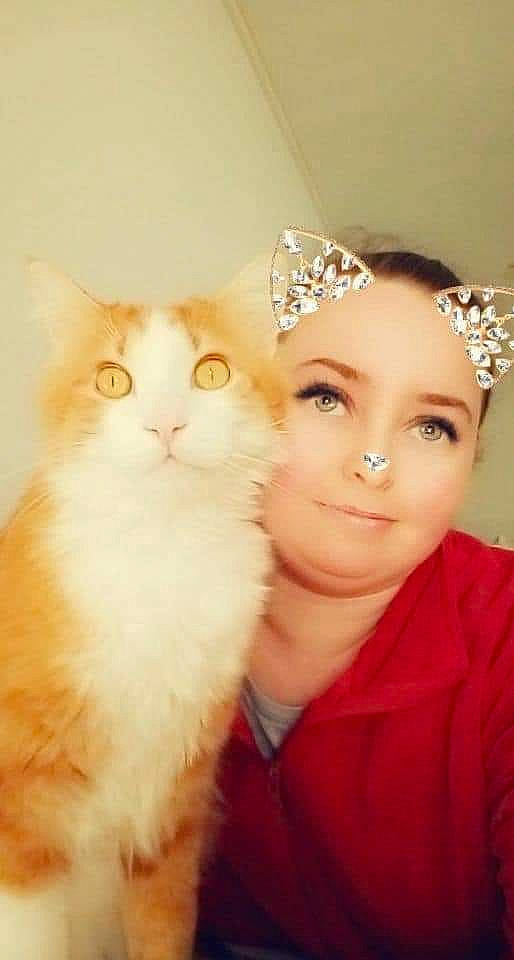 Minou participe au concours pour gagner de l'argent avec cette photo : carnivore, cat, child, ear, event, facial_expression, fawn, felidae, flash_photography, fur, gesture, happy, headband, headpiece, iris, jewellery, skin, small_to_medium_sized_cats, smile, whiskers