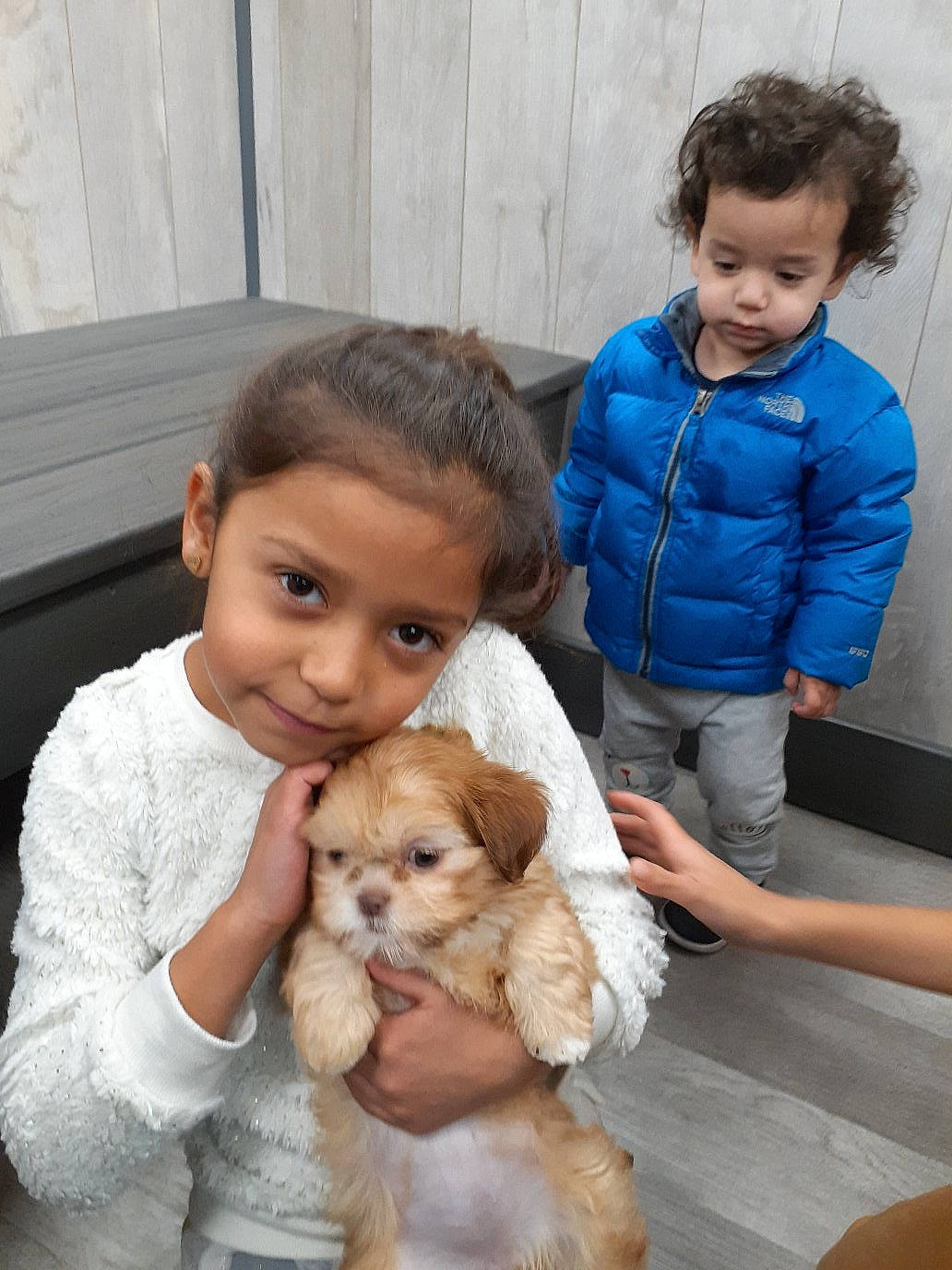 Janelle joined the competition — help win amazing prizes! canidae, carnivore, cavachon, child, companion_dog, dog, dog_breed, maltepoo, person, poodle_crossbreed, puppy, puppy_love, sporting_group, toddler