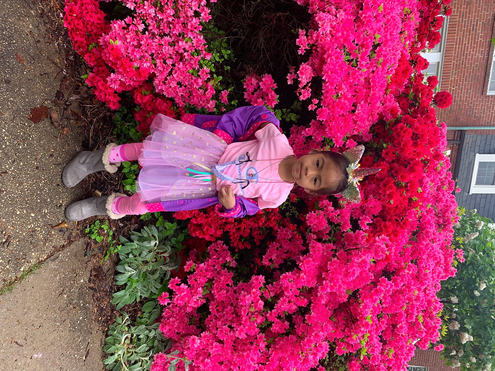 Candace is registered to the contest to win money with this photo: annual_plant, blossom, flower, flowering_plant, garden, grass, green, groundcover, hat, magenta, people_in_nature, person, petal, pink, plant, purple, red, shrub, toddler, tree
