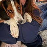 puppy, dog, pet, indoor, person, arms, holding, cozy, blanket, fur, couch, home, relaxed, sleepy, cute, closeup, nostalgic, comfort, snuggle, floppy_ears