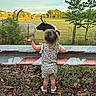 Blakelyn is registered to the contest to win money with this photo: animal, cattle, child, clothing, cow, dress, face, female, girl, grass, head, outdoors, person, photography, plant, portrait, shorts, soil, tree, zoo