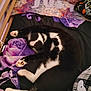cat, black_and_white, sleeping, bed, blanket, pajamas, purple, rose_pattern, cozy, feline, pet, indoor, resting, paw, fur, collar, human_leg, fabric, comfort, animal