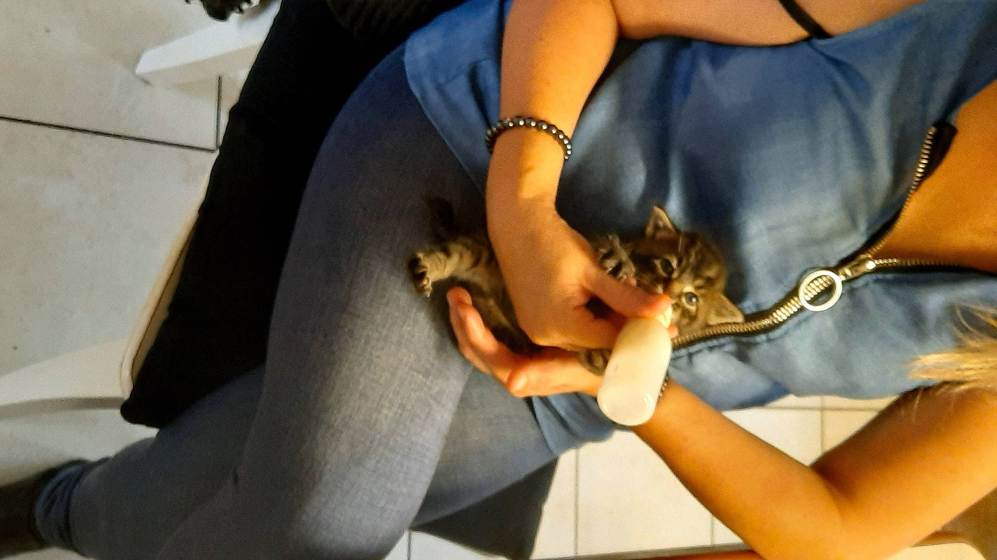 Grisou a rejoint le concours — aidez-le/la à gagner de superbes lots ! abdomen, carnivore, comfort, dog, elbow, electric_blue, eyelash, eyewear, gesture, human_leg, jewellery, joint, knee, long_hair, nail, neck, thigh, thumb, trunk, wrist