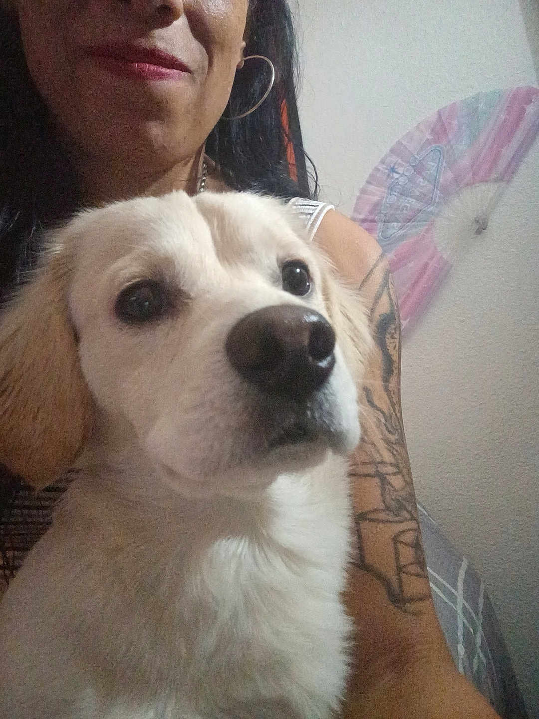 Nini Bunz is registered to the contest to win money with this photo: animal, closeup, cute, dog, earring, expression, face, fan, fur, human, indoor, nose, person, pet, portrait, selfie, smile, tattoo, wall, white_dog