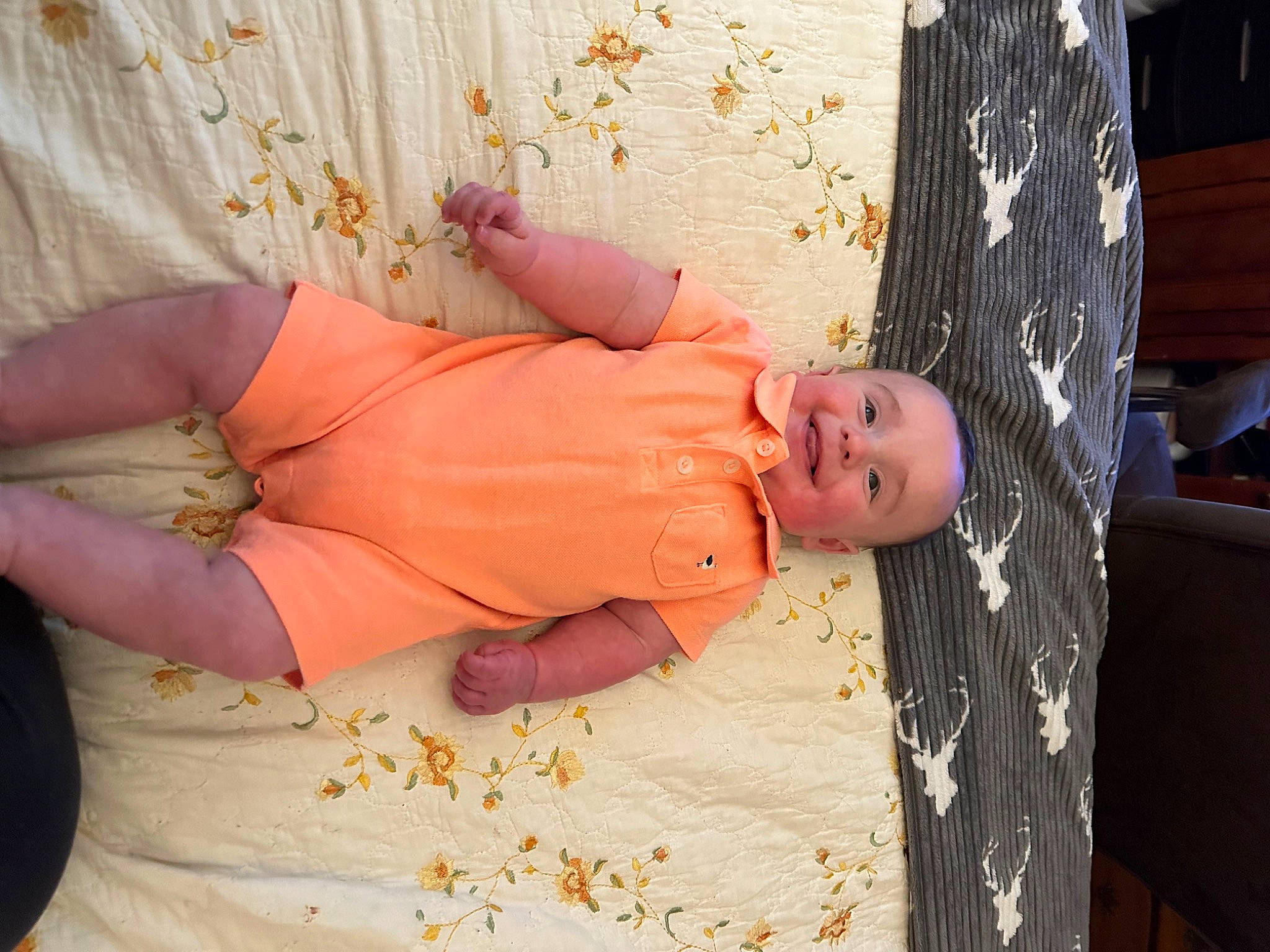 Colton is registered to the contest to win money with this photo: abdomen, arm, baby, child, dress, hand, happy, hat, human_body, joy, nail, orange, pattern, peach, person, plant, room, sitting, sunglasses, toddler
