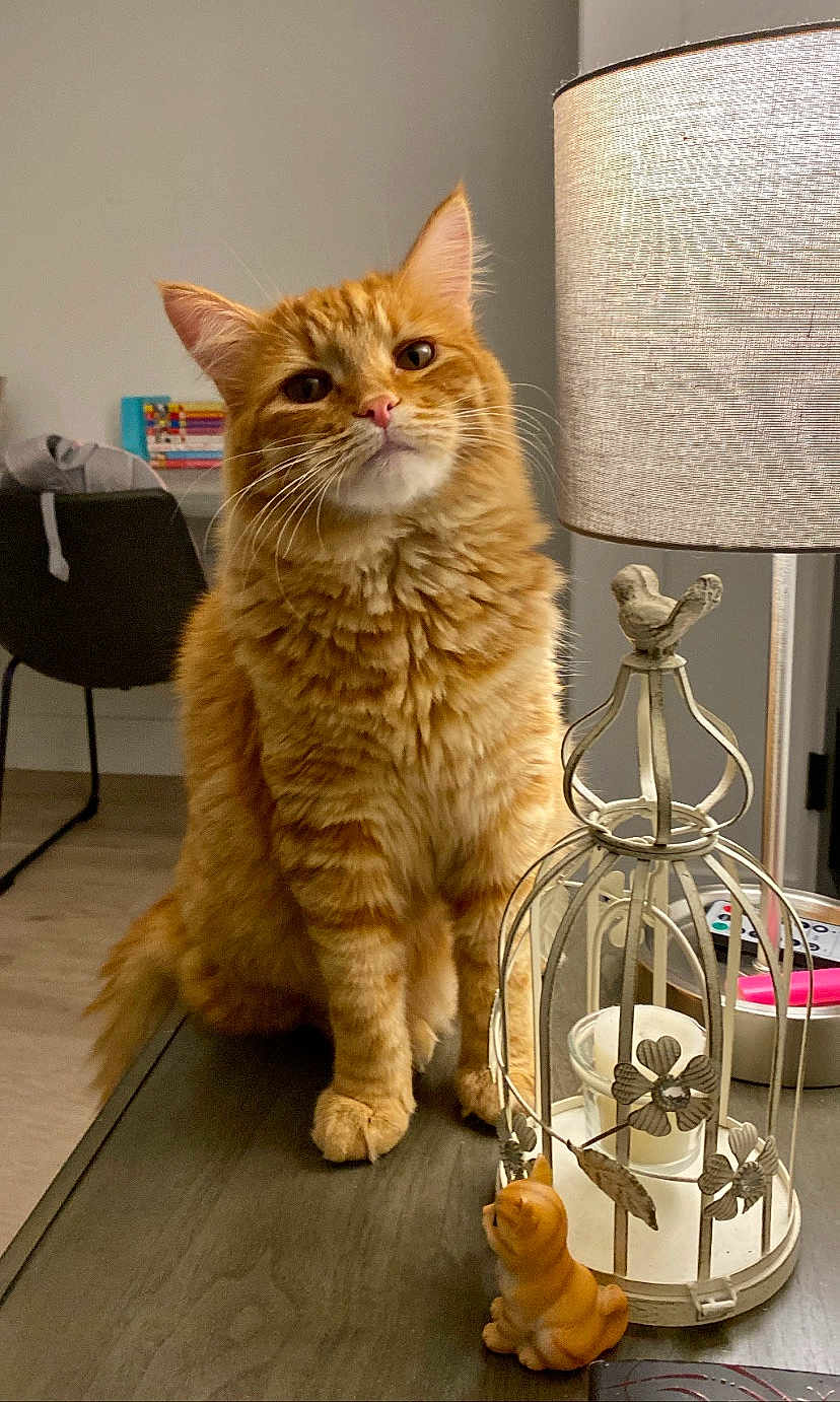 Pixel