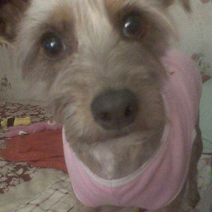 Brooke Munguia is registered to the contest to win money with this photo: