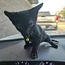 Sophie Cunningham is registered to the contest to win money with this photo: black_kitten, cat, pet, dashboard, car, vehicle, collar, green_bell, curious, outdoor, blurry_background, window, animal, small, feline, young, closeup, domestic_animal, playful, exploring
