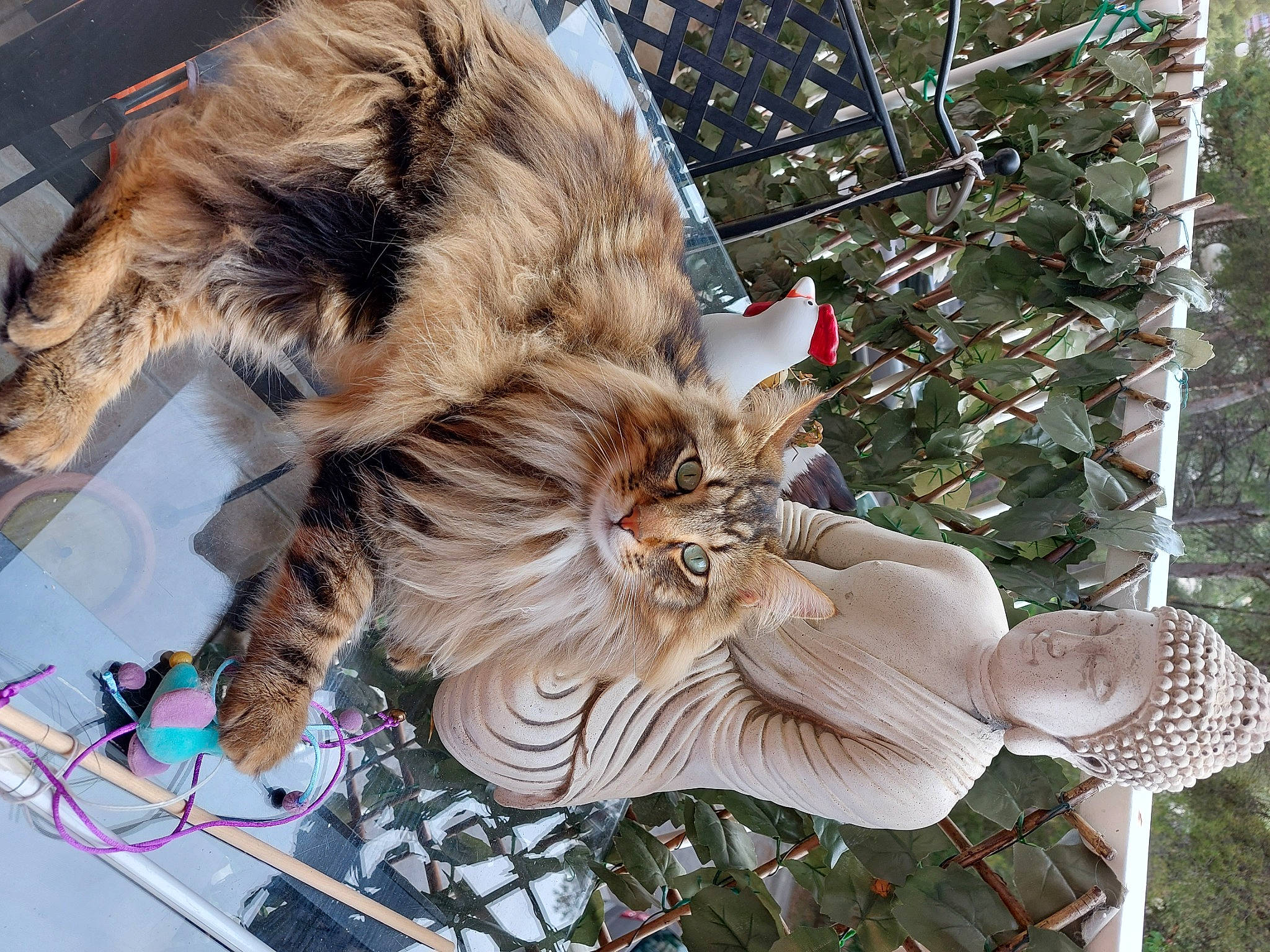 Poopy participe au concours pour gagner de l'argent avec cette photo : art, canidae, carnivore, cat, claw, dog_breed, domestic_short_haired_cat, fawn, felidae, fur, plant, sculpture, small_to_medium_sized_cats, snout, statue, tail, tree, trunk, twig, whiskers