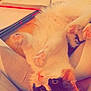 Margaux joined the competition — help win amazing prizes! belly_up, black, calico, cat, closeup, cozy, cute, fluffy, fur, home, indoor, legs, lying_down, notebook, orange, pen, pet, relaxing, study_material, white